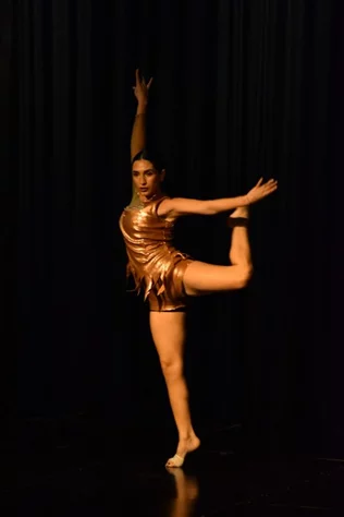Liberation Dance Show by Zirka